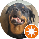 Dory Rotti profile picture